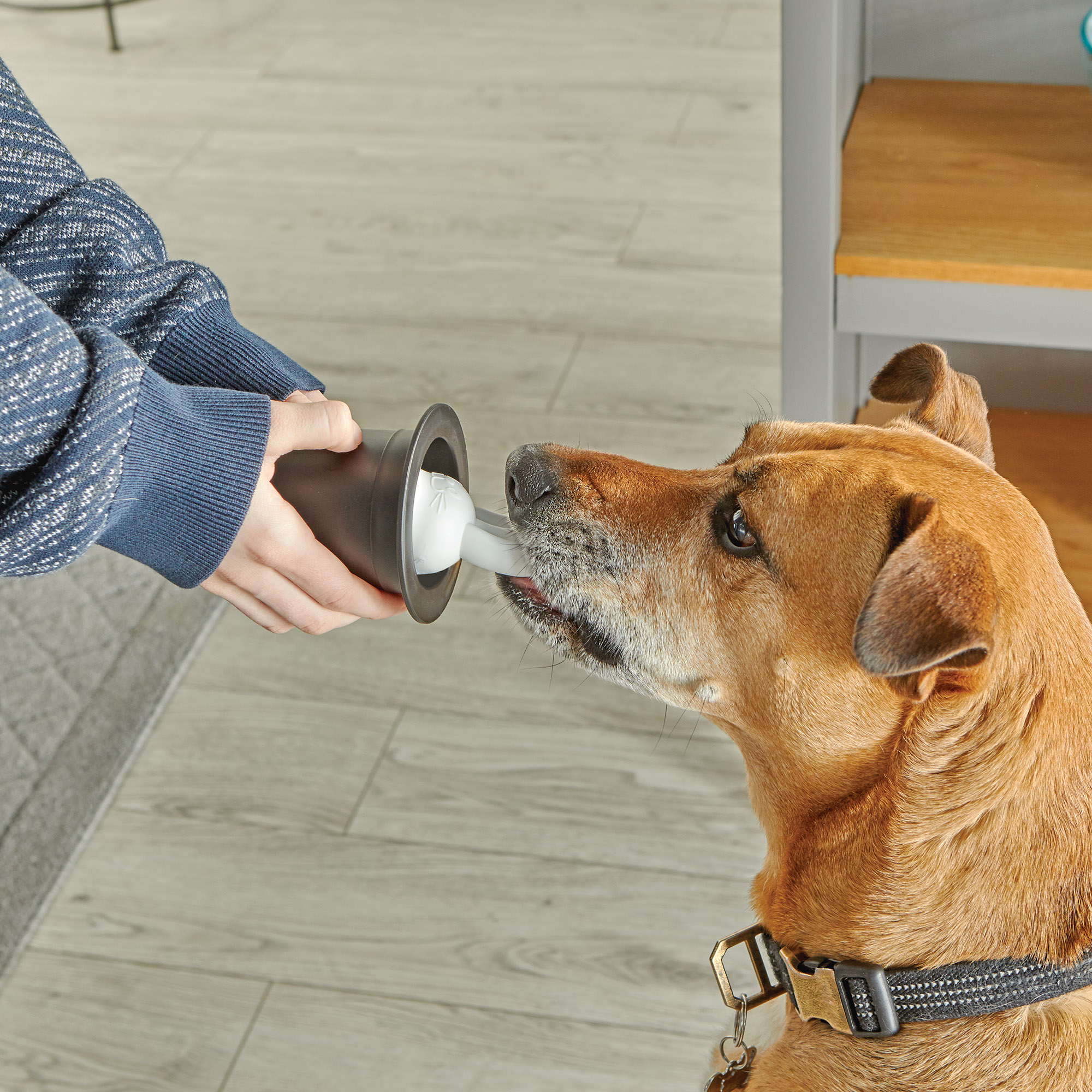 9364-Magic-Trick-Training-Set_Dog-Hat-1