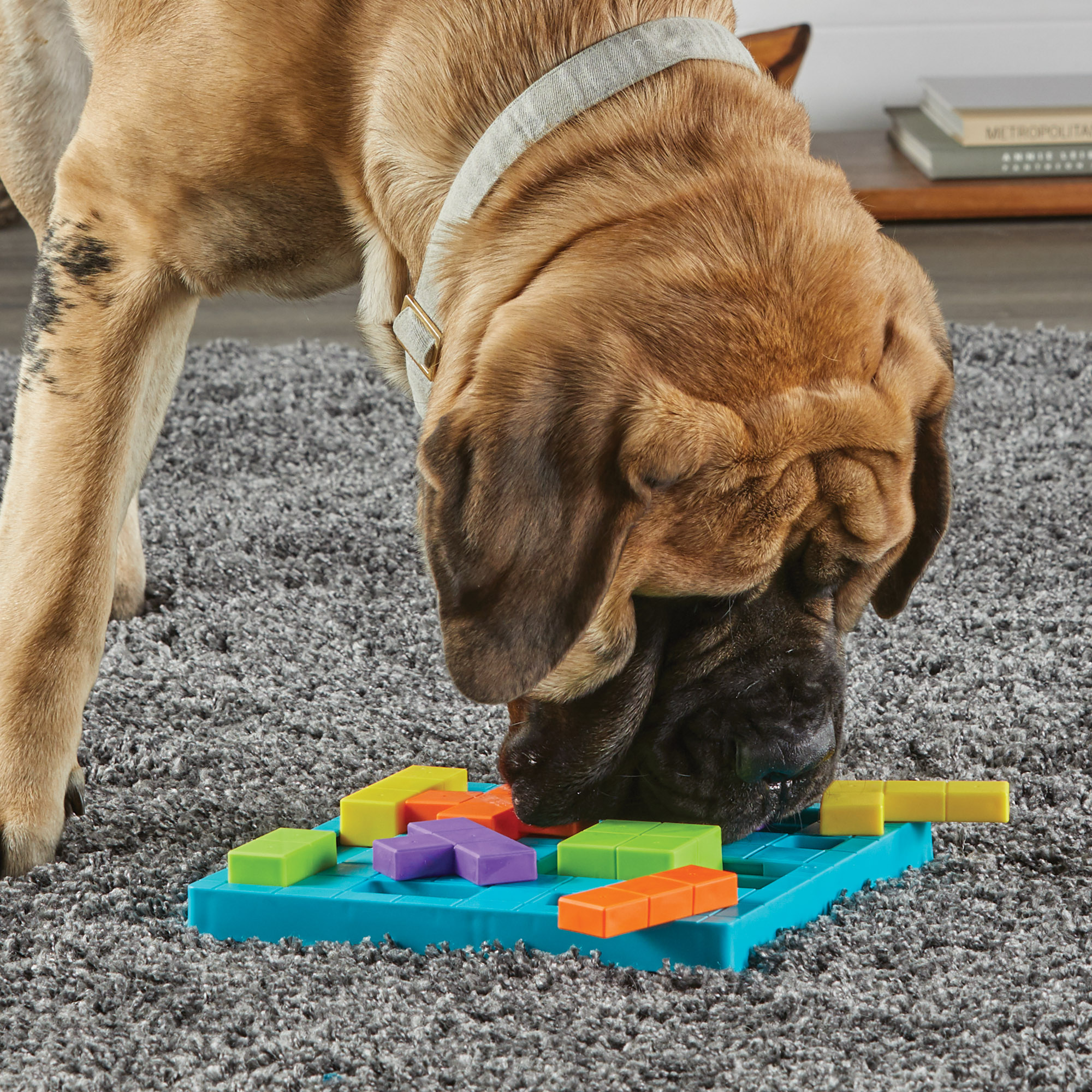 9392-Block-Treat-Puzzle_dog-3-1