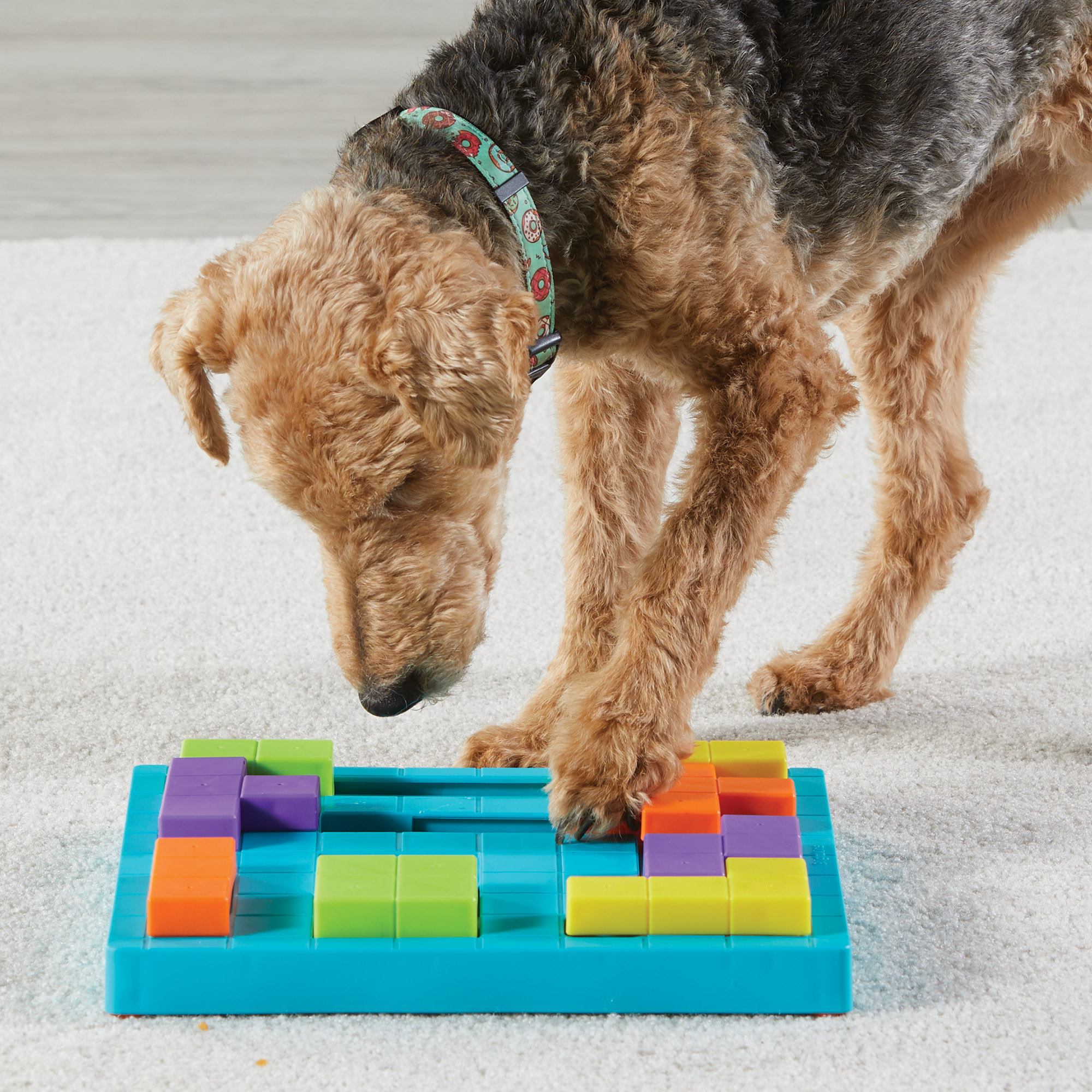 9392-Block-Treat-Puzzle_dog-4-1
