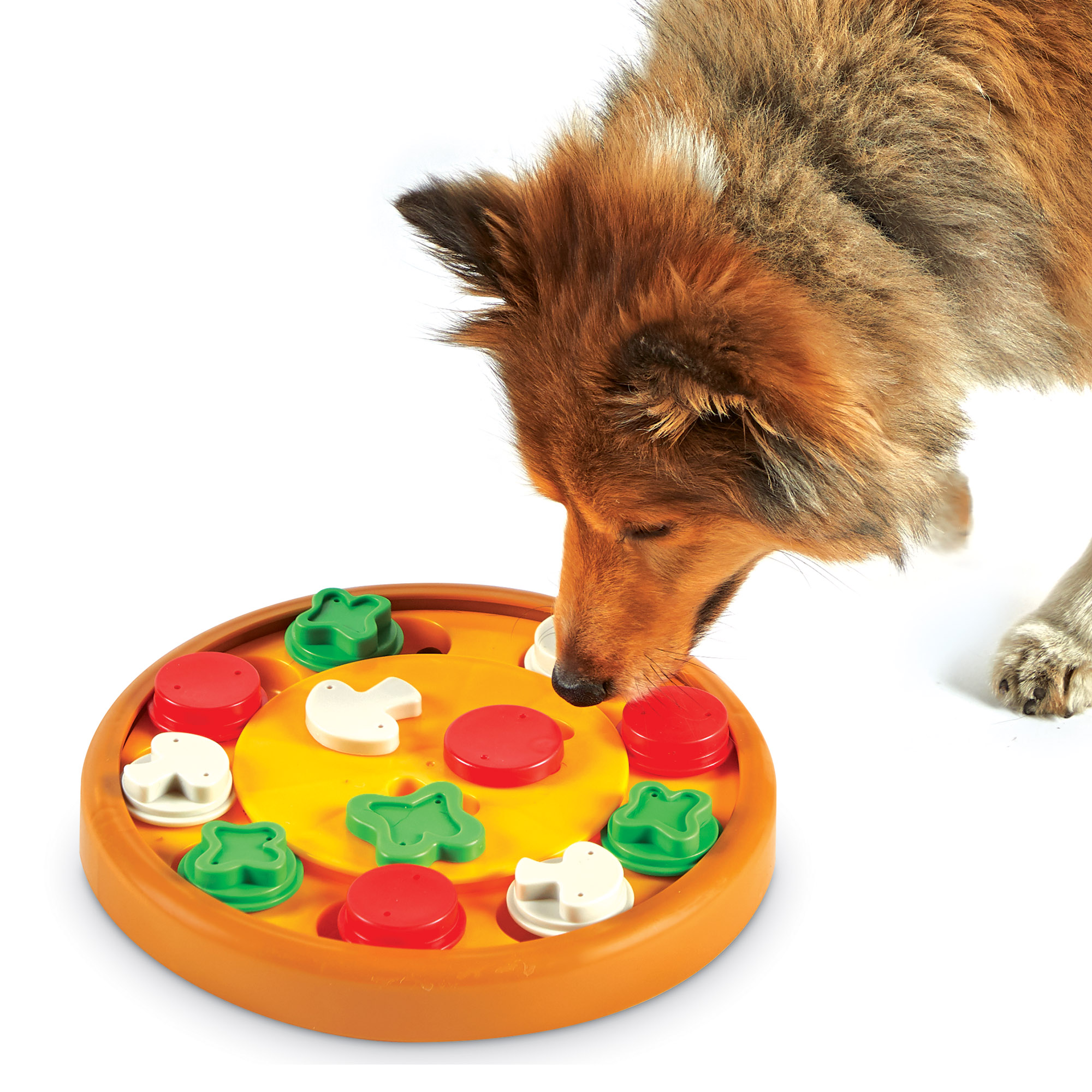 9403-Pizza-Treat-Puzzle-Dog-1
