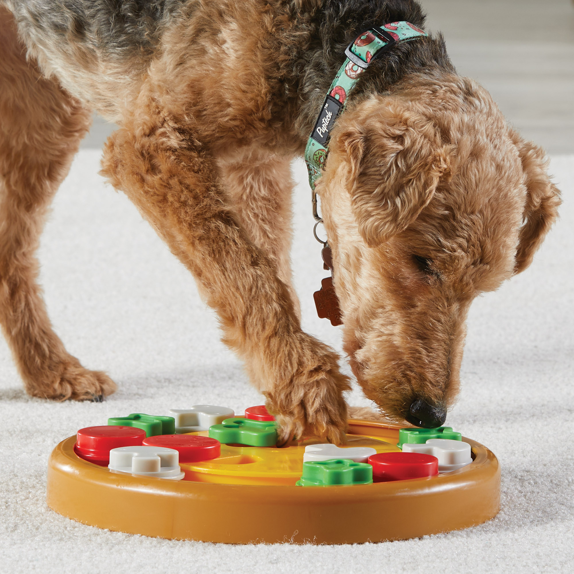 9403-Pizza-Treat-Puzzle-Dog3-1