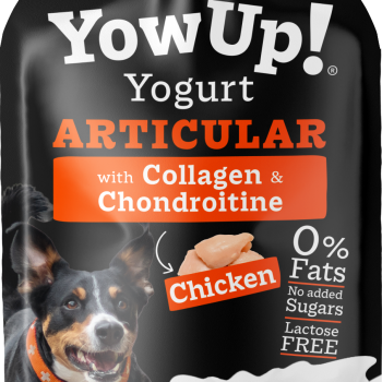 Yowup Perros Articular Display 10 piezas